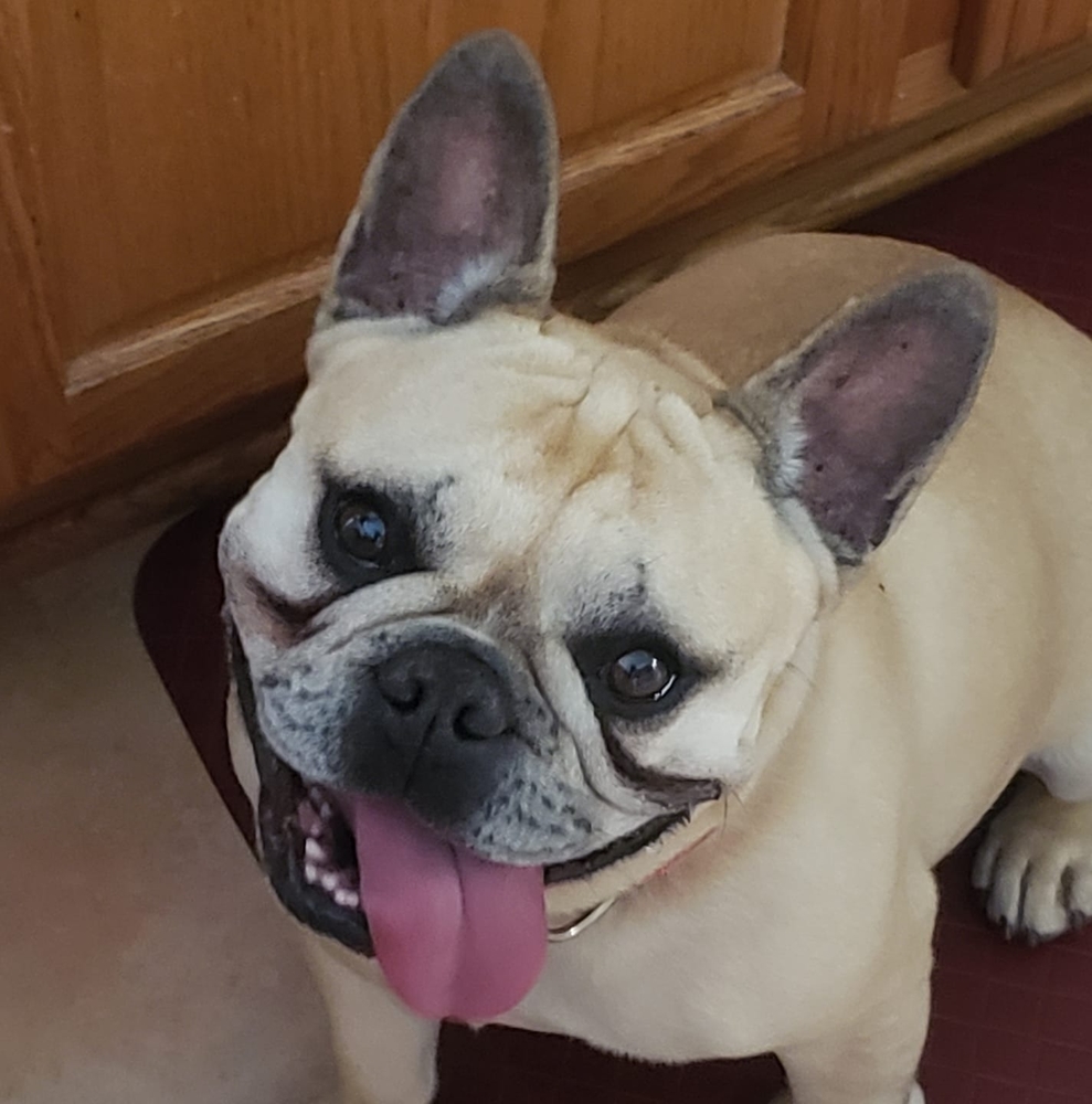 Meet your Posher, Echo